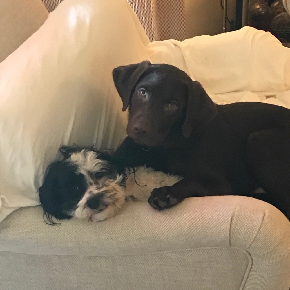 Hi & Welcome!